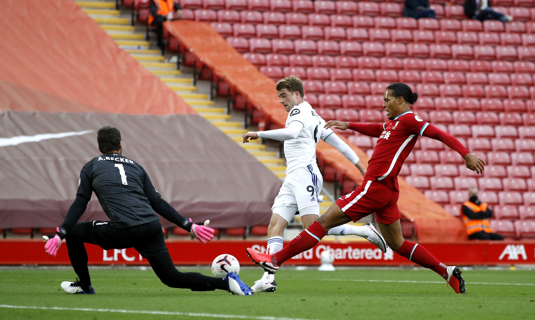 了属于这个 了属于这个